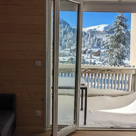 Apartamento 3 Etoiles, Meuble, 45m2, Station, Fibre, Netflix, Plus, Garage Laveissière