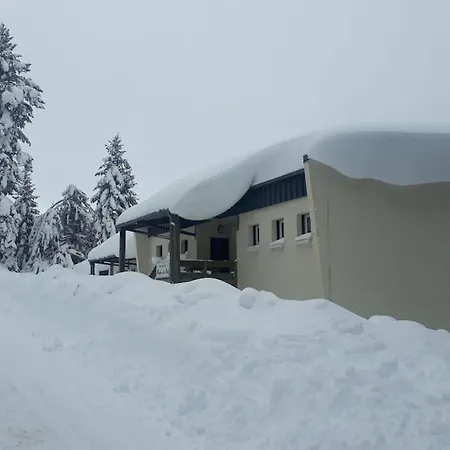 3 Etoiles, Meuble, 45m2, Station, Fibre, Netflix, Plus, Garage * Laveissière