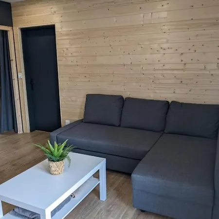 Appartement 3 Etoiles, Meuble, 45m2, Station, Fibre, Netflix, Plus, Garage Laveissière