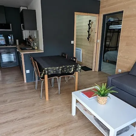 3 Etoiles, Meuble, 45m2, Station, Fibre, Netflix, Plus, Garage Laveissière
