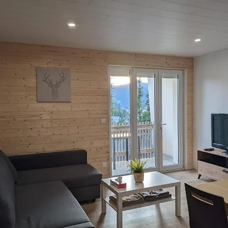 Appartement 3 Etoiles, Meuble, 45m2, Station, Fibre, Netflix, Plus, Garage Laveissière