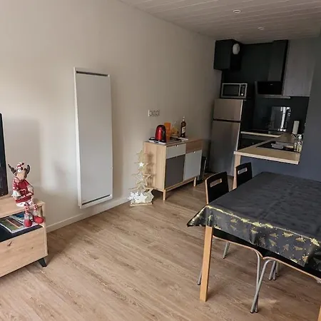 3 Etoiles, Meuble, 45m2, Station, Fibre, Netflix, Plus, Garage *