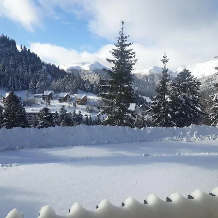 Apartamento 3 Etoiles, Meuble, 45m2, Station, Fibre, Netflix, Plus, Garage