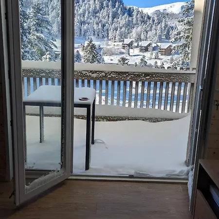 Appartement 3 Etoiles, Meuble, 45m2, Station, Fibre, Netflix, Plus, Garage Laveissière